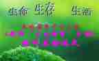 初三生物工作计划6篇