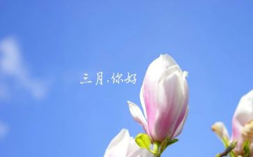 三月份班主任工作计划8篇