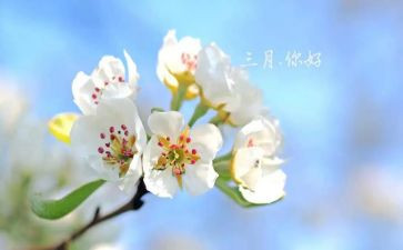 在三月里作文参考7篇