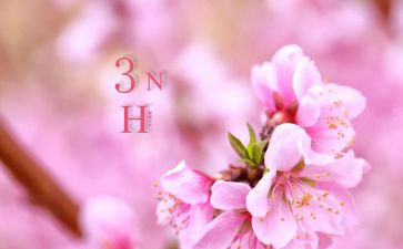 三月份幼儿园工作总结最新6篇