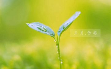 三月的我作文优质7篇
