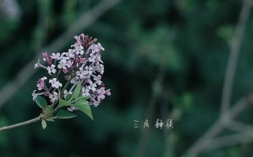 三月份的工作总结推荐7篇