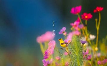 幼儿园三月份工作总结范文7篇