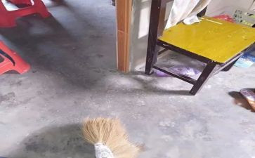作文春节大扫除300字7篇
