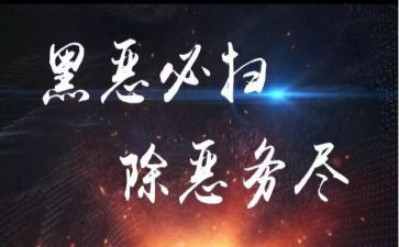 扫黑专项行动工作总结6篇
