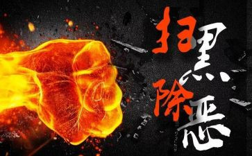 区扫黑办工作总结5篇