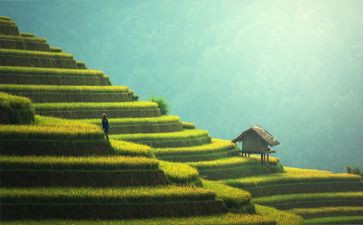 扫墓作文400字作文优质5篇