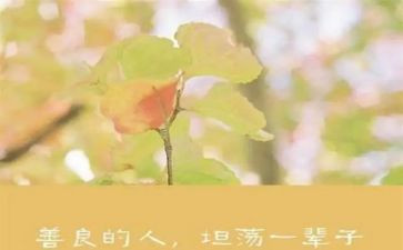 善良的他作文模板8篇