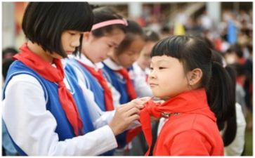 小学生入少先队的申请书模板8篇