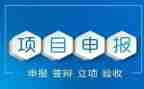 申报小学高级教师述职报告8篇
