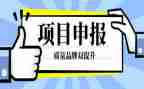 高级教师申报述职报告6篇