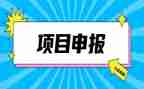 申报中级教师职称工作总结6篇