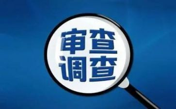审查工作计划6篇