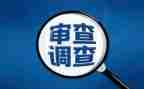 审查工作计划6篇