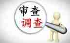 审查调查心得体会7篇