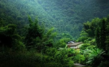 心灵深处作文500字作文5篇
