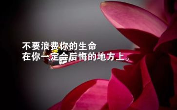 生存话题作文6篇