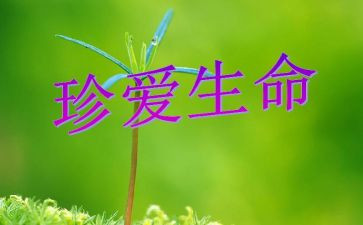 生命和安全教育心得6篇