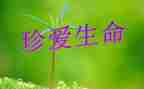 生命生命作文600字通用5篇