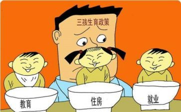 2023计划生育个人工作总结优质6篇
