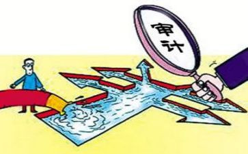 年度审计总结报告5篇