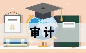 局审计工作总结7篇