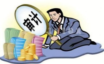 内部审计医院工作计划7篇