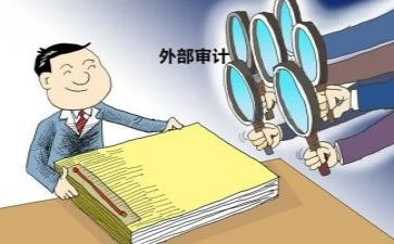 2024年度审计局工作总结6篇