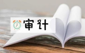 审计站个人总结范文7篇