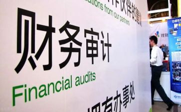 审计局个人总结7篇