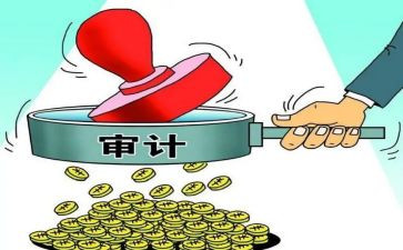 审计员的工作计划精选5篇
