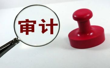 审计的工作总结最新6篇