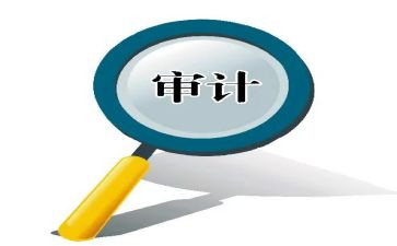 审计局审计工作计划7篇