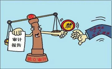 公司审计做工作总结5篇