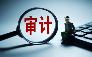审计员的工作计划通用7篇