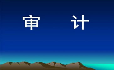 审计工作总结及2024年工作计划5篇