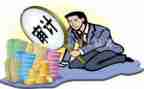 内部审计医院工作计划7篇