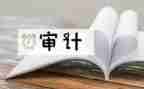 审计站个人总结范文7篇