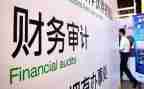 审计2024年工作总结及2024年工作计划5篇
