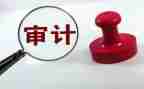 审计的工作总结最新6篇