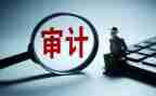 审计员的工作计划通用7篇
