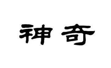 想象类作文神奇的圆作文参考5篇