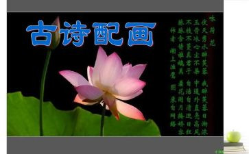 幼儿园大班毕业诗教案反思5篇