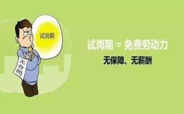 试岗教师的工作总结6篇
