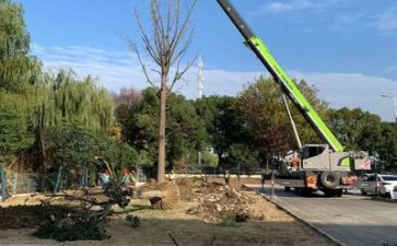 施工质量和安全工作总结8篇