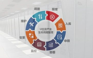 市管局工作总结5篇