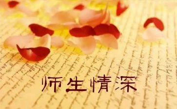 师生情后心得体会8篇