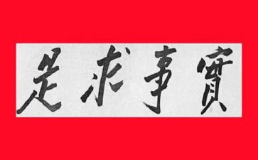 实事工作总结7篇