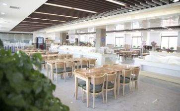食堂调研报告7篇