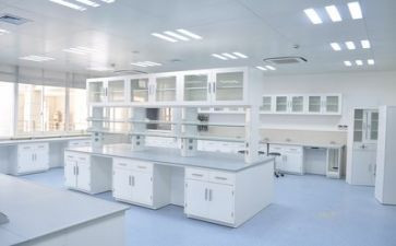 实验岗教师工作总结优秀6篇